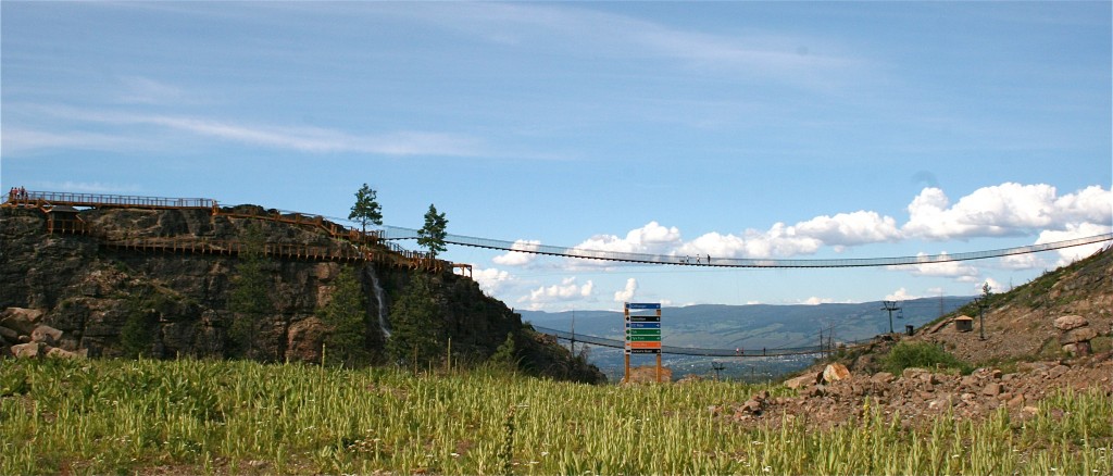 Longest suspension bridge viewed from below.
