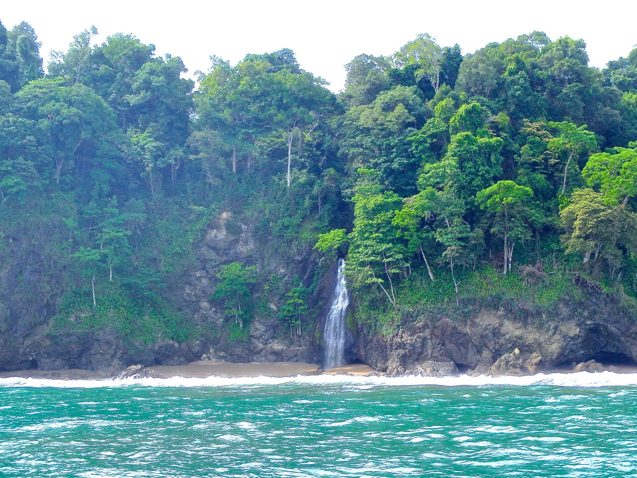 The Dolphins of Expedition Corcovado