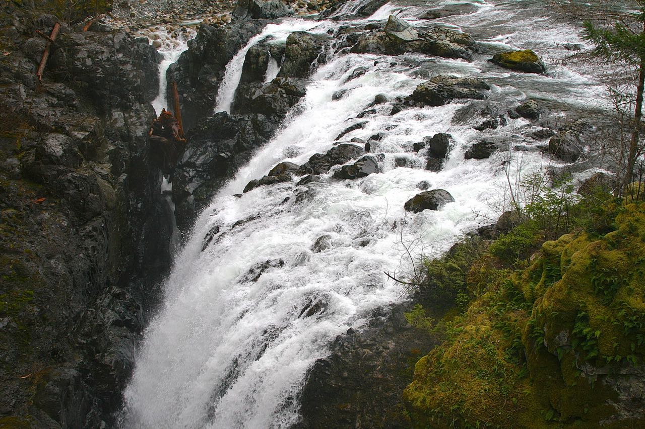 Englishman River Falls Hike, Vancouver Island